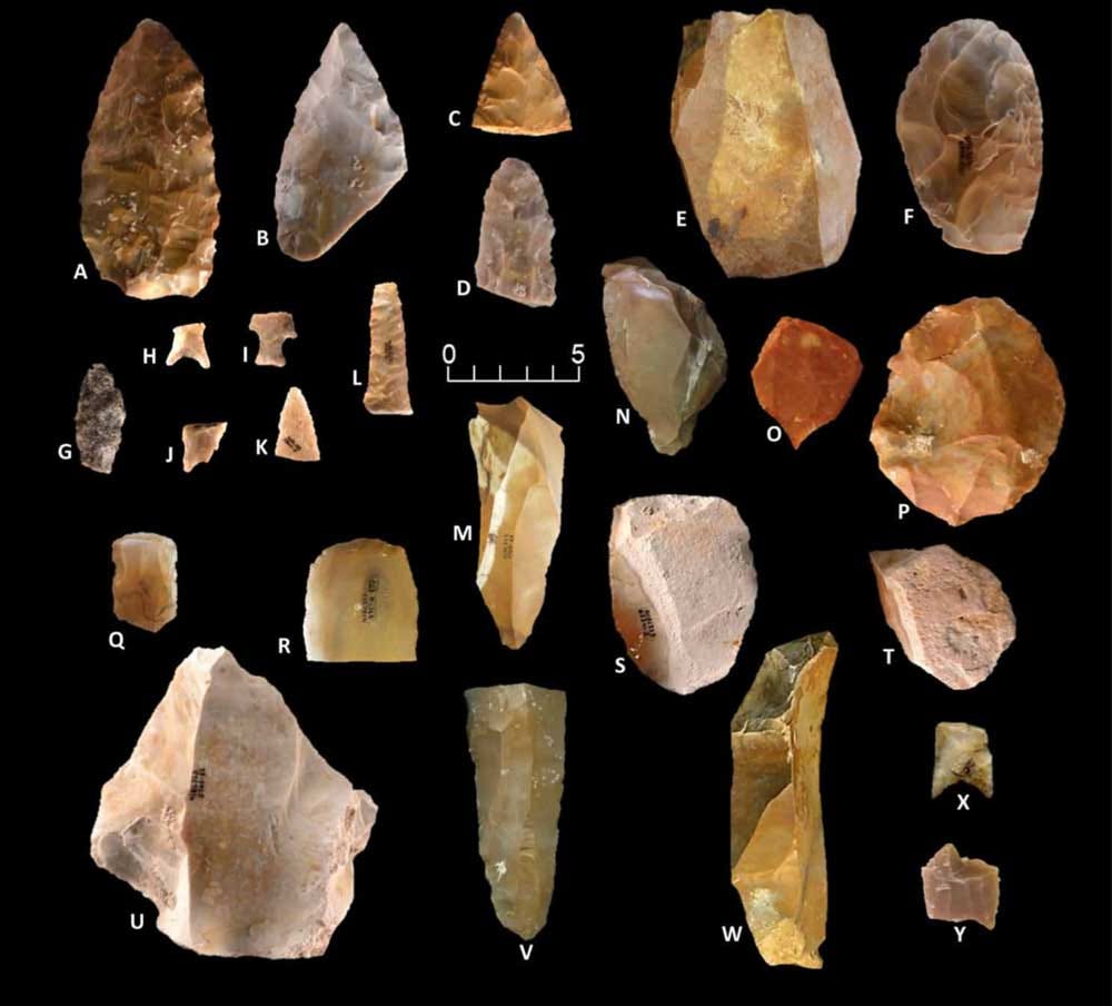 Gault assemblage artifacts from Williams et al. (2018) Gault assemblage artifacts from Williams et al. (2018)