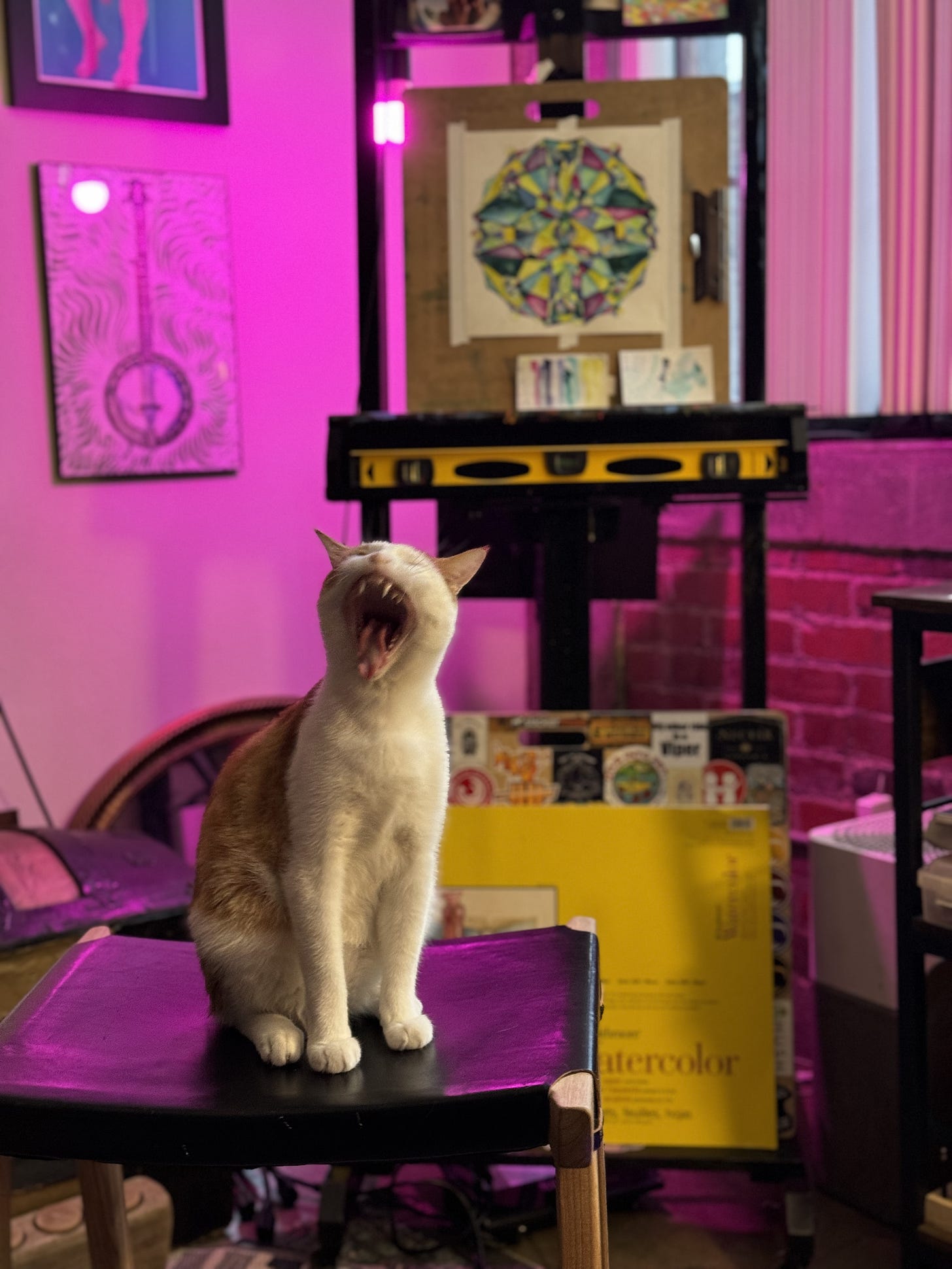 Sigil the cat yawns or yells in the foreground, a geometric watercolor sits on the easel behind him.