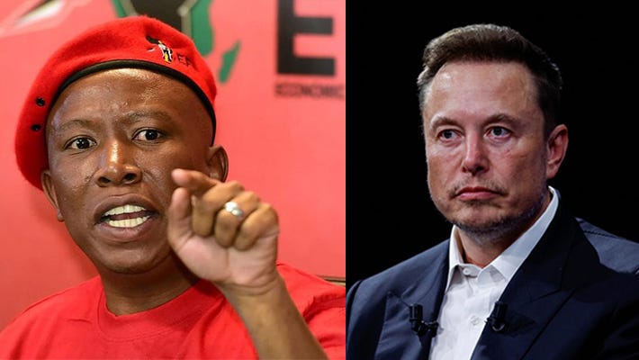 Malema's EFF slams Elon Musk as 'billionaire maniac'