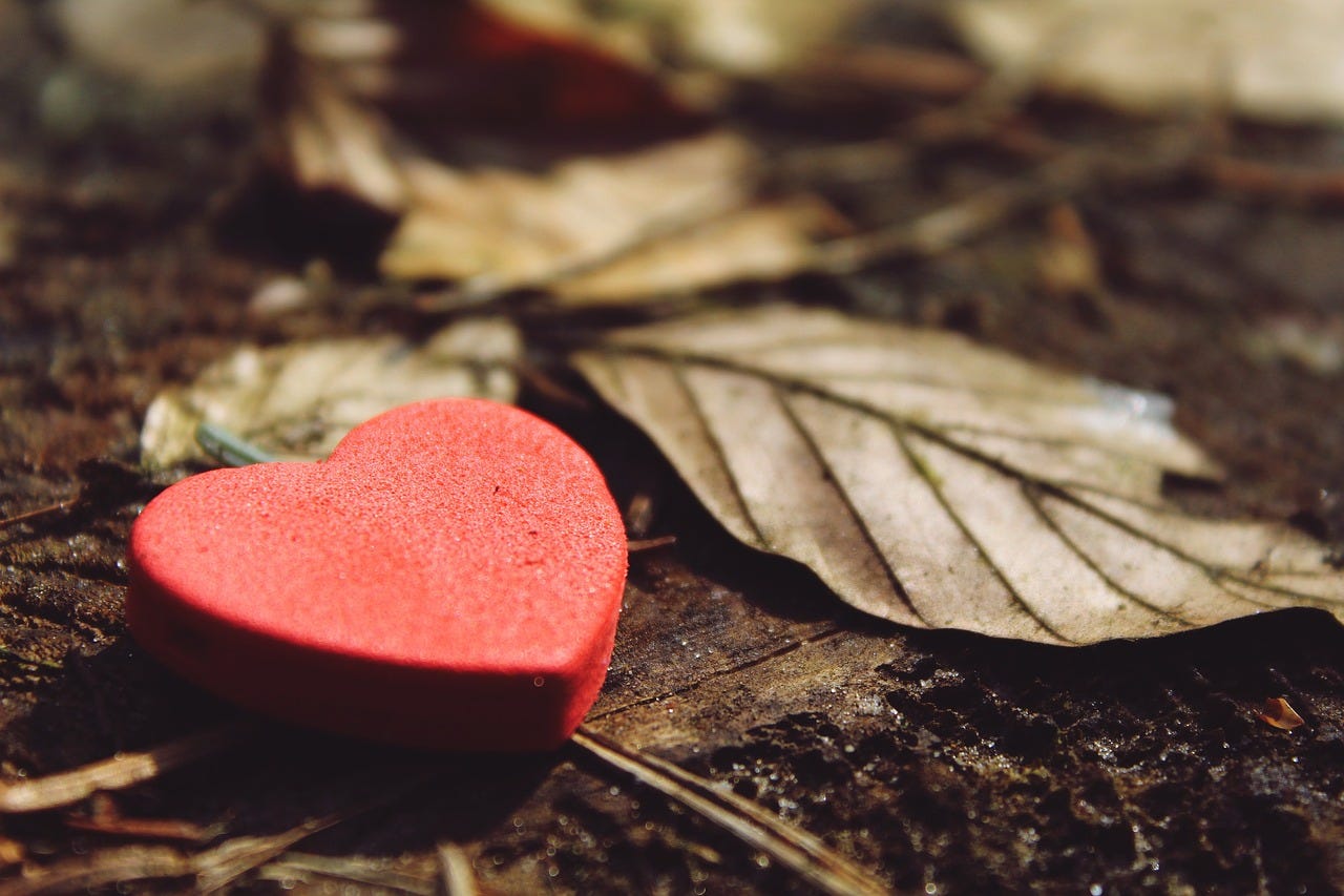 Red heart trinket on forest floor.