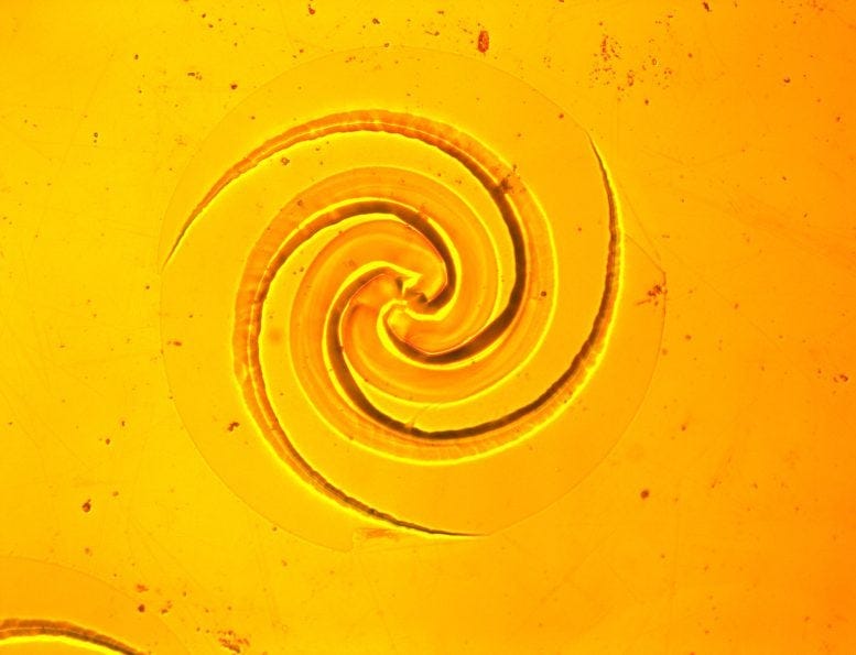 Logarithmic Spiral Germanium Chip