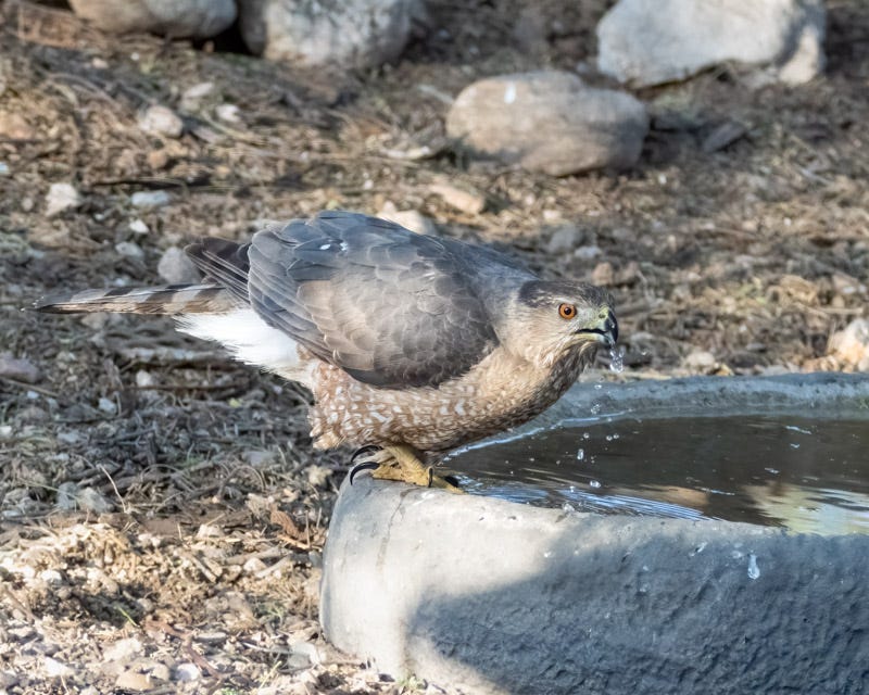 20240517-mby-36-Edit.jpg