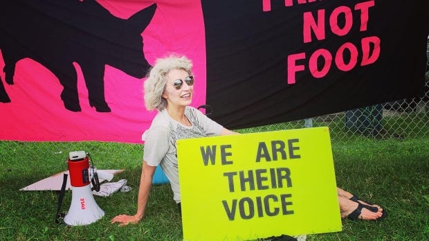 Animal activists celebrate after parts of Ontario agriculture law unconstitutional | CP24.com 