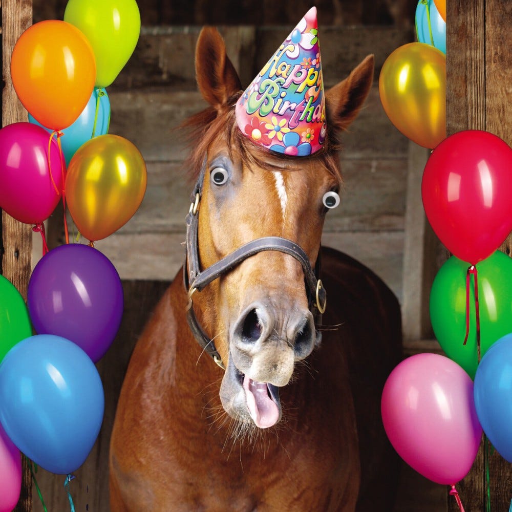 Glückwünsche Geburtstag Pferde | geburtstagssprüche von herzen