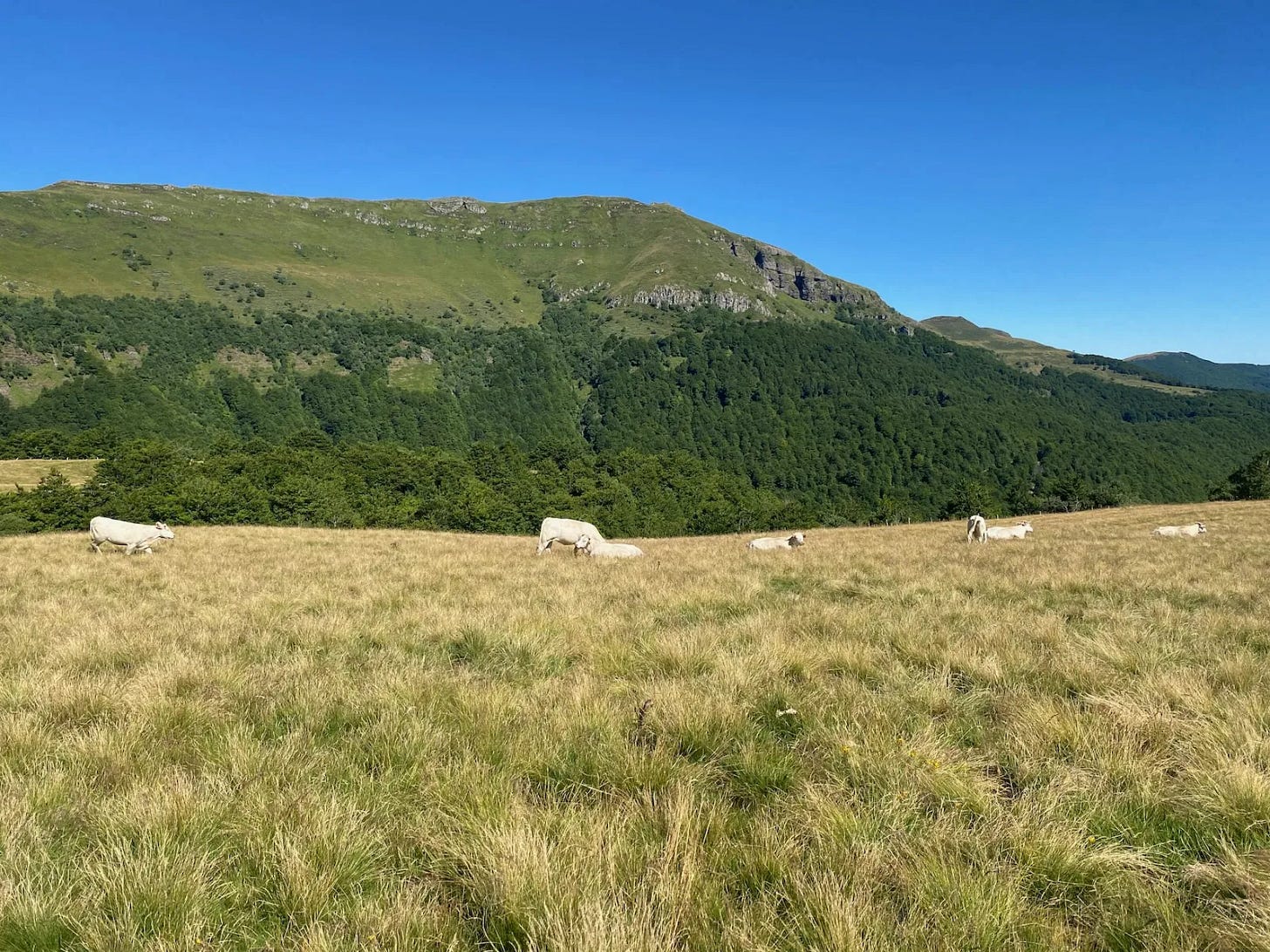 Le Cantal Le Cantal