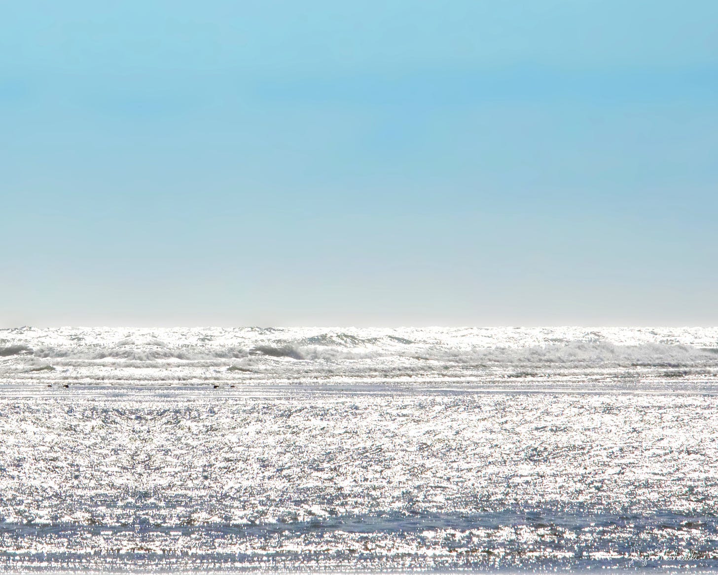 Sparkling waters meet a turquoise horizon off the coast of Vancouver Island, Canada.