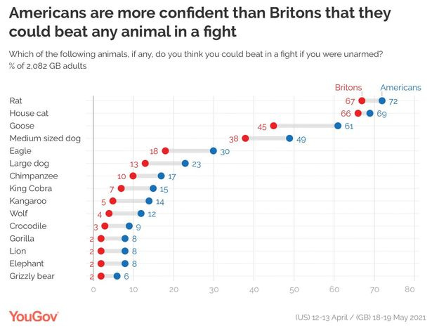 Americans three times as confident as Brits that they could beat any ...