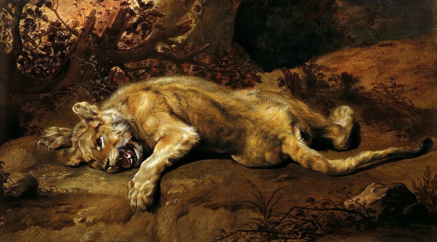 Wounded lion, XVII, 111×198 cm by France Snyders: History, Analysis & Facts  | Arthive
