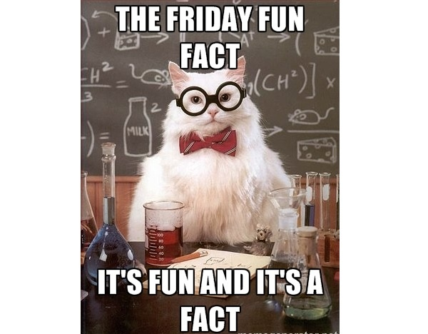 Friday Fun Fact