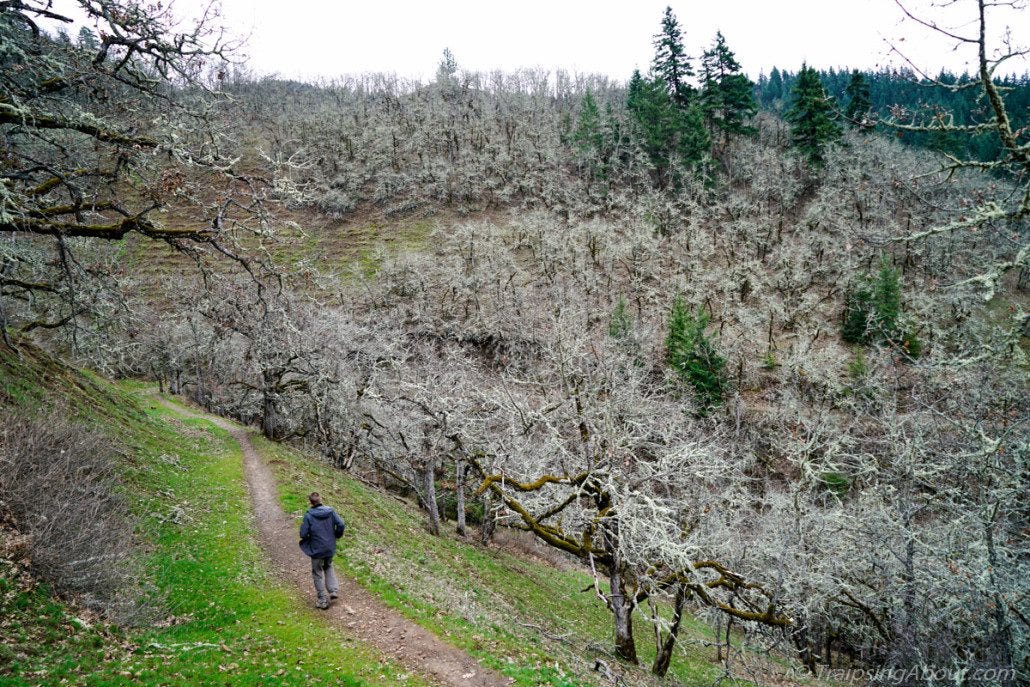 Hiking in the Columbia River Gorge.