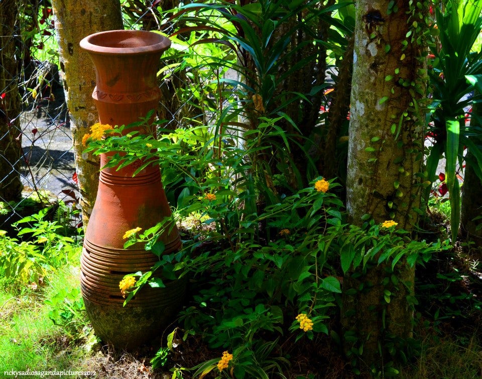 An urn in a garden