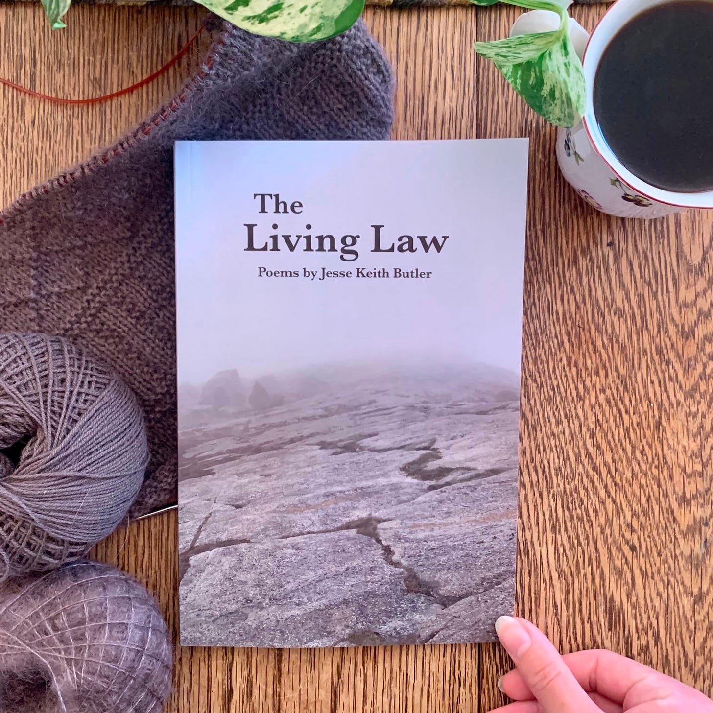 Photo of "The Living Law" by Jesse Keith Butler