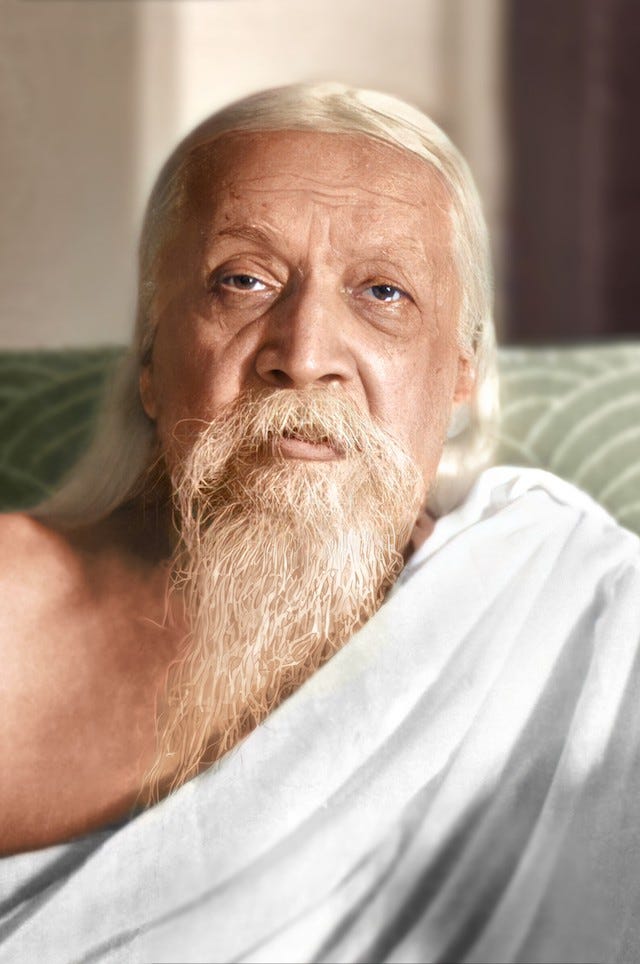 Sri Aurobindo as a Yogi, Guru, Seer, poet, philosopher.