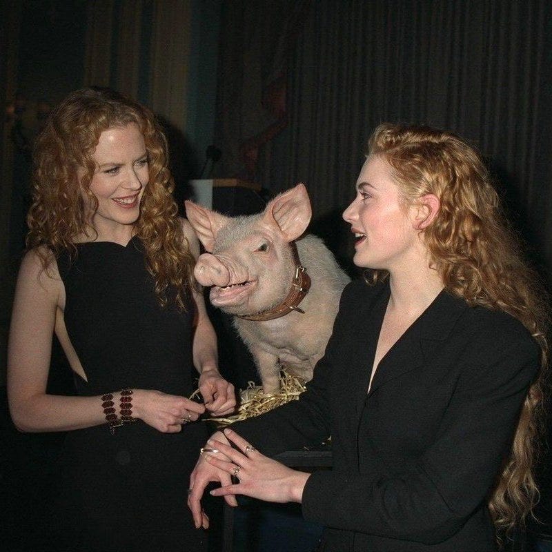 Nicole Kidman & Kate Winslet with Babe the pig at the Oscars, 1995/1996