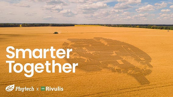 Rivulis and Phytech Announce Strategic Partnership to Advance Sustainable  Agriculture