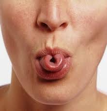 genetic myth of the human tongue ...