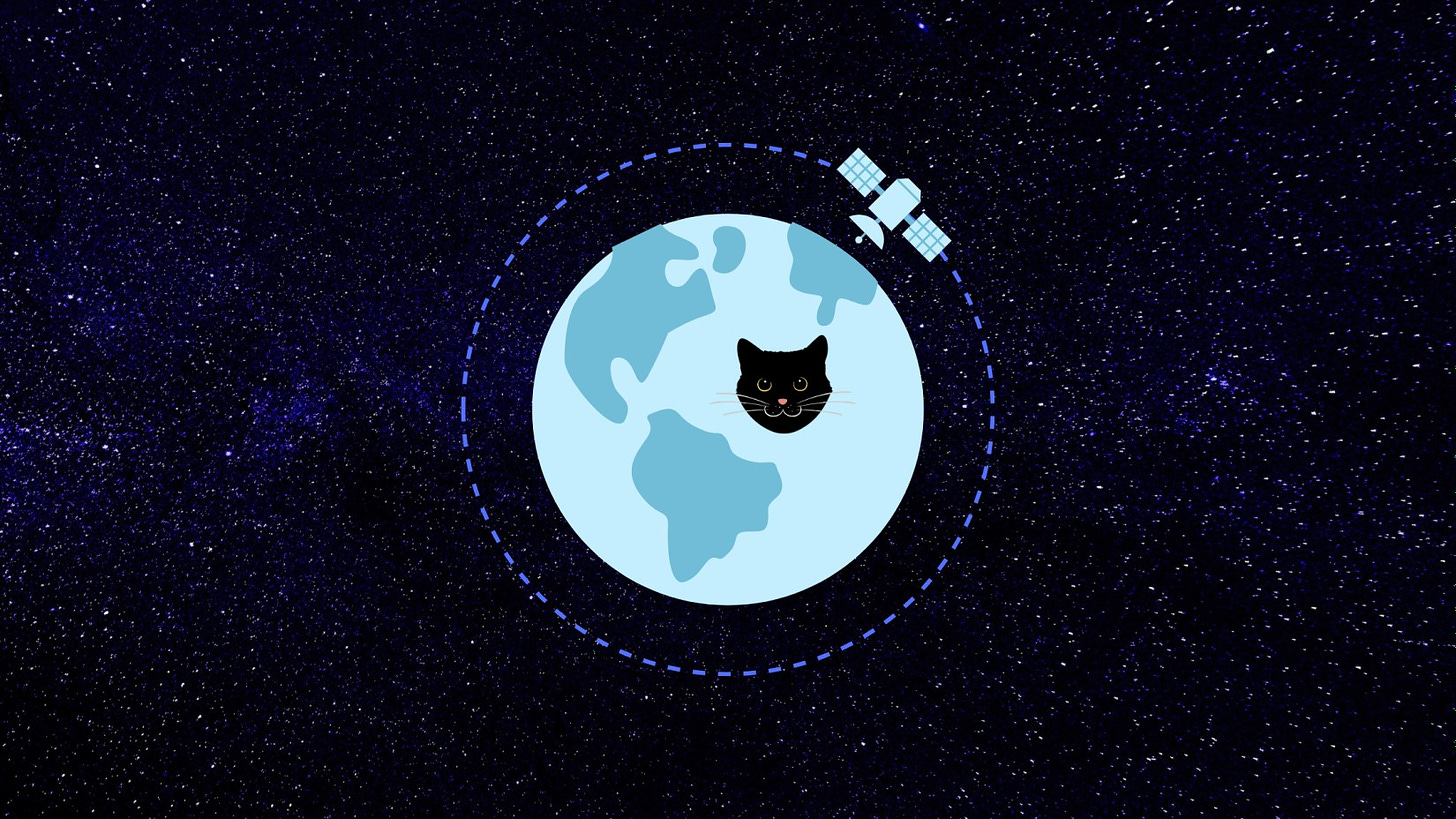Image of satellite rotating around earth and a catface