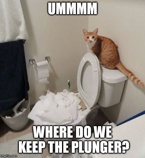 Toilet's clogged again - Imgflip