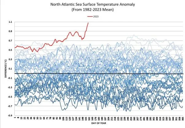 North Atlantic Sea Surface Temperature Anomaly