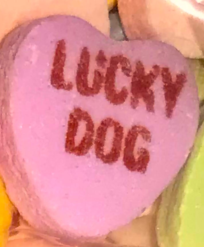 pink candy heart with "Lucky Dog" in the middle