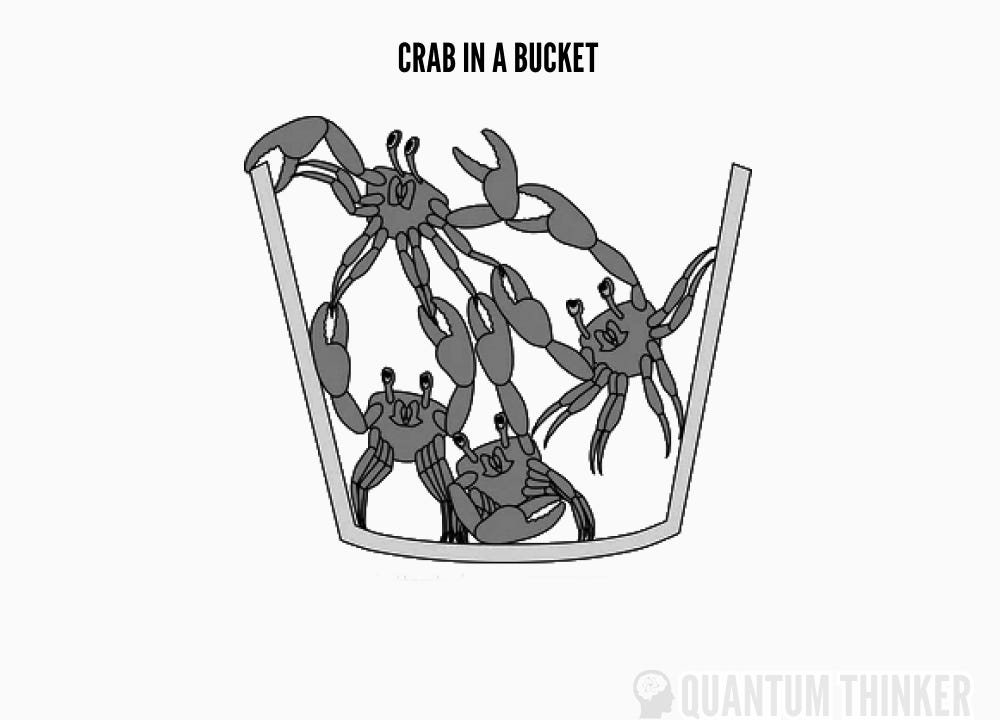 Crab in a Bucket