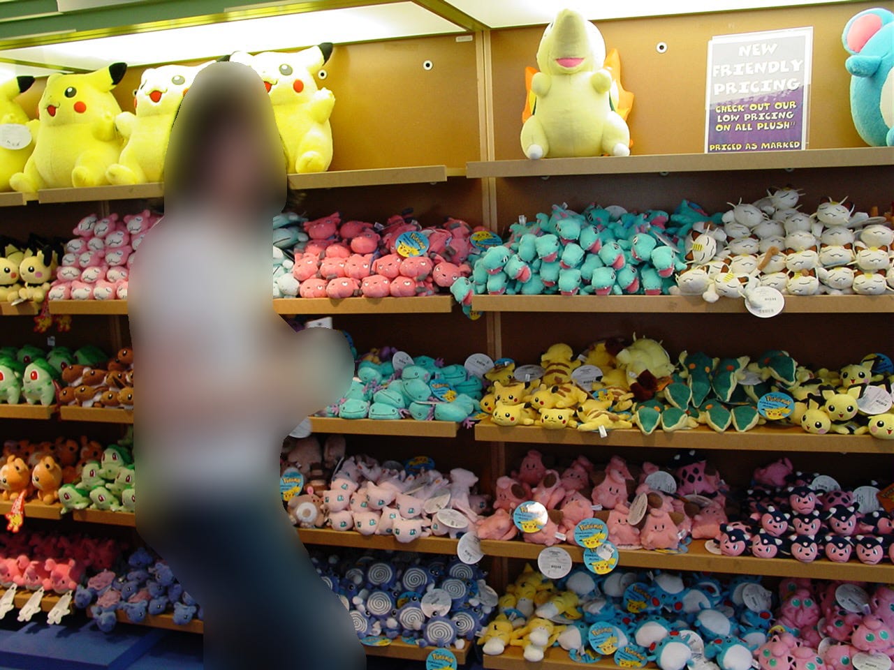 Another photo showing more Pokémon plush toys. Tatton’s other friend was blurred out of this photograph upon request