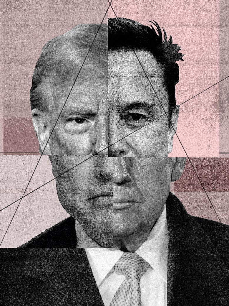 illustration showing collage of Donald Trump and Elon Musk heads