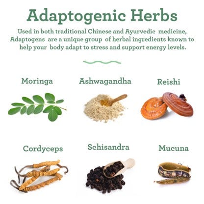 Adaptogenic herbs 