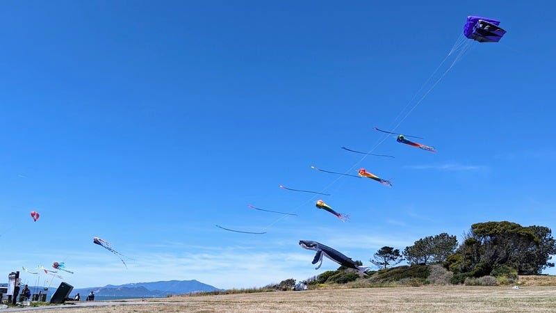 A string of decorative kites that look like sea creatures: a whale and several rainbow jellyfish