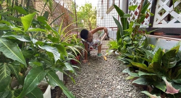 Little boy playing in the dirt