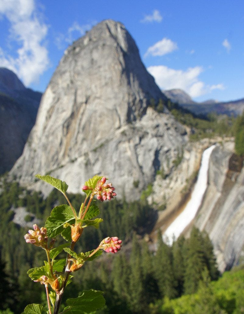 Liberty Cap and Nevada Falls in Yosemite.