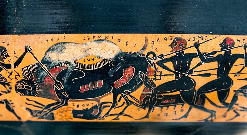Photograph of a Black figure vase scene showing nude heroes attacking a boar with spears and tridents