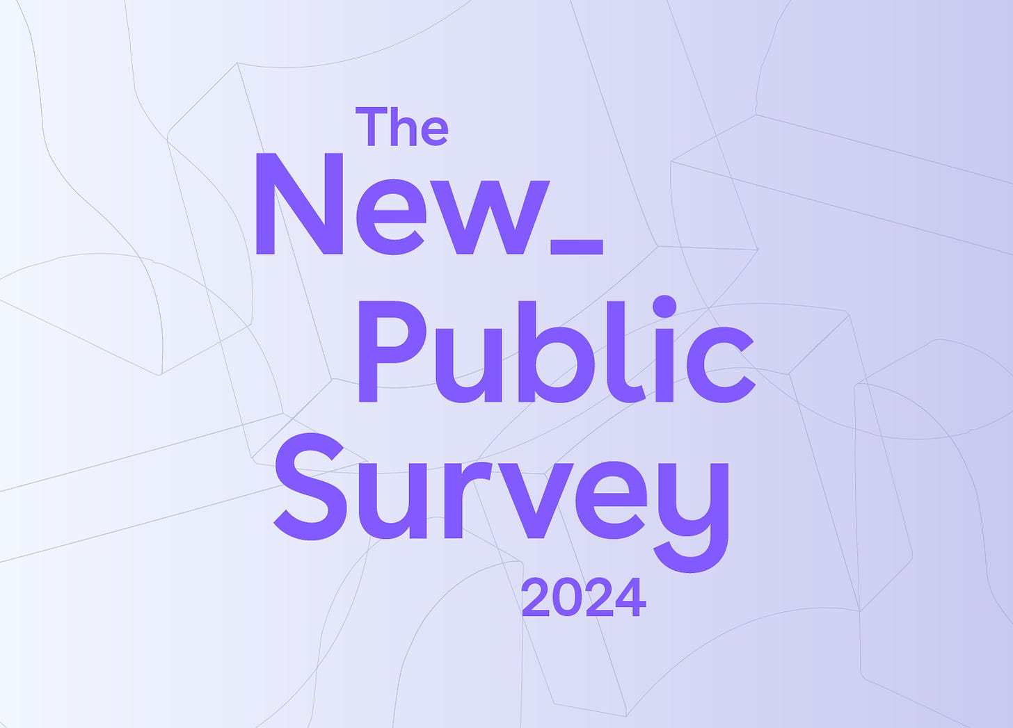 Title card reading: The New_ Public Survey 2024