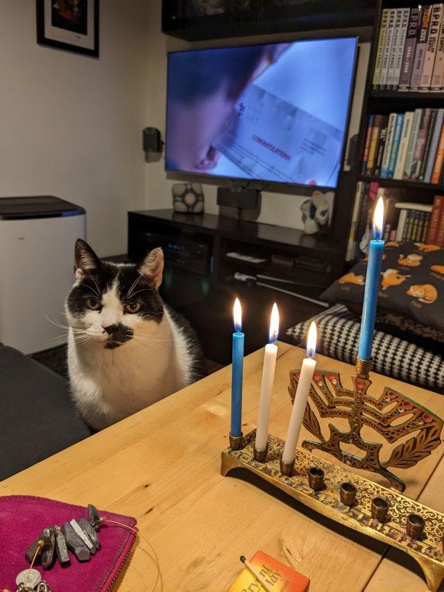 Archie the cat, a black and white cat next to a Chanukah menorah