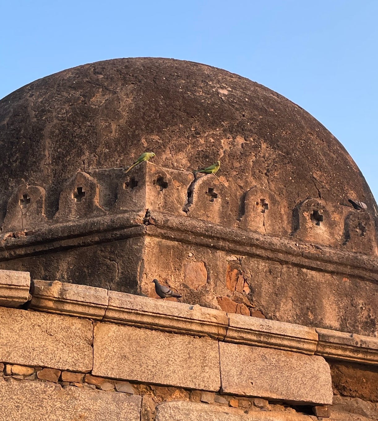 Two green birds on an ancient stone dome in New Delhi, India