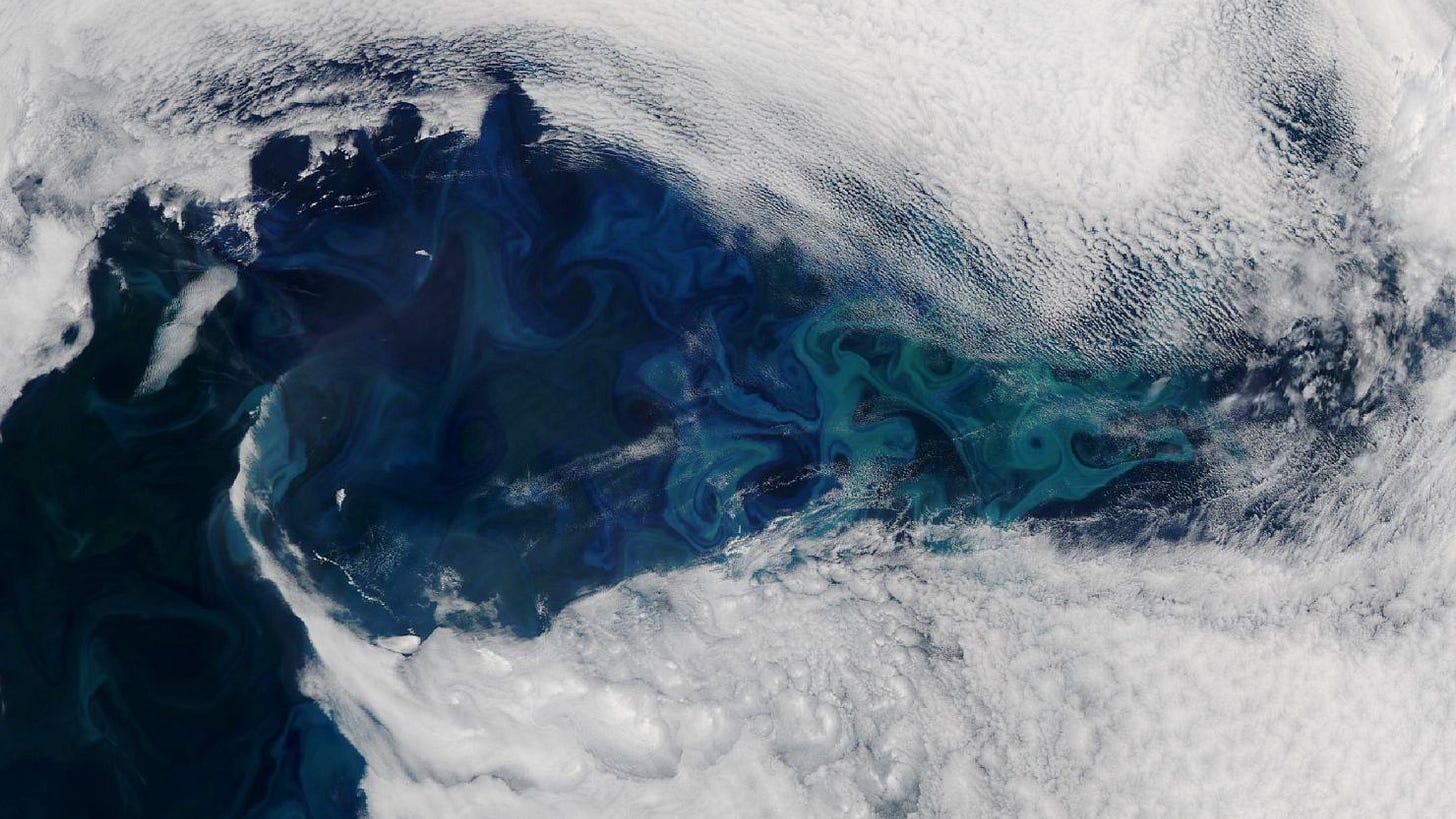 Light blue and turquoise phytoplankton seen through the clouds highlight the ocean currents off the coast of Greenland. New research suggest an important system of these currents is at risk of collapsing as soon as next decade.