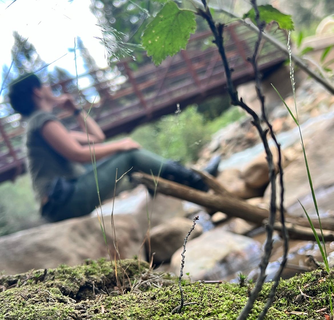 a blurred photo of Lyric, wearing green and sitting on the rivers edge in a forrest with a bridge next to them