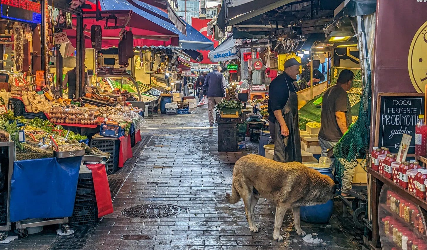 A dog wandering down one of the cobbestoned streets of the market; all around him are shops selling fruits, vegetables, cheese, and more. 
