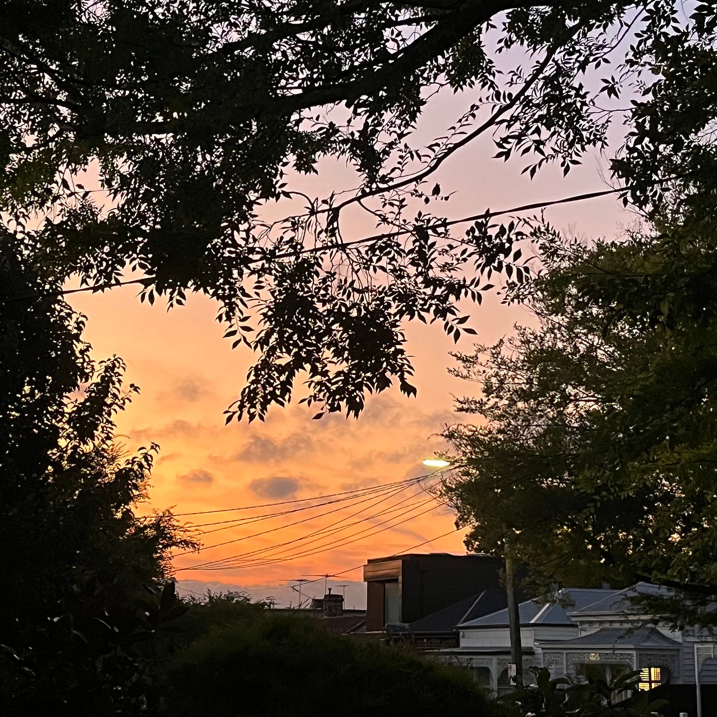 orange sky