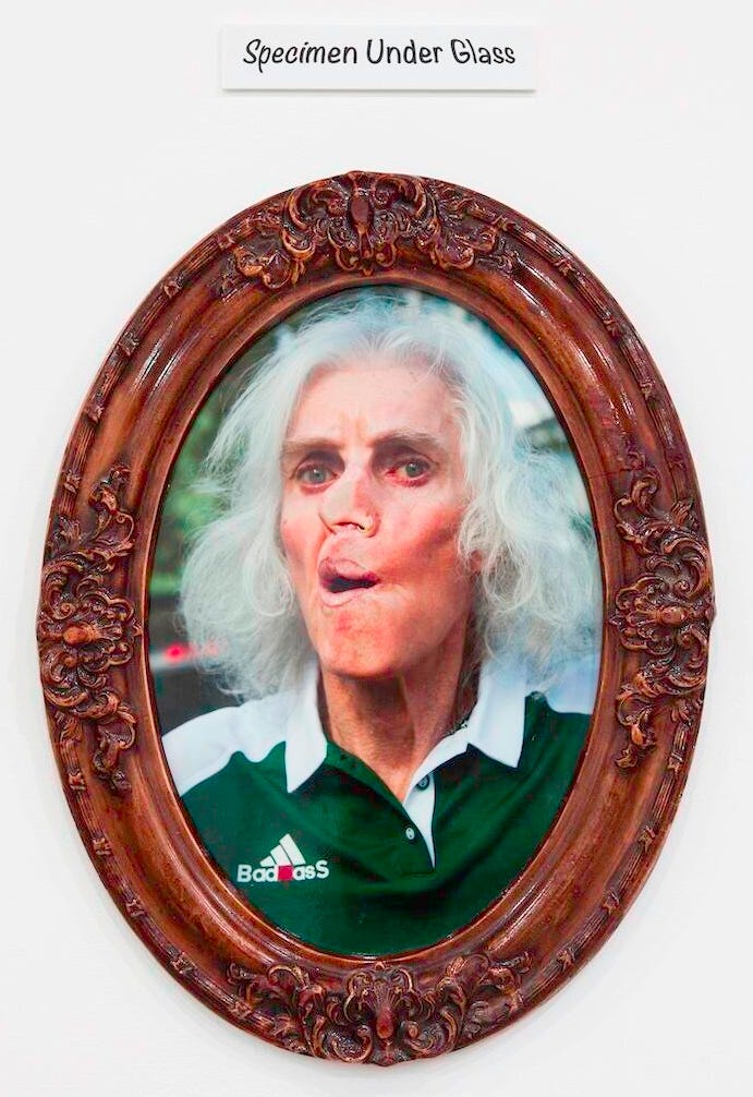 Pippa is seen in a large oval wooden frame. The title above says Specimen Under Glass. Pippa has her face smushed up against the camera. She is wearing a green and white modified Adidas polo shirt. Her shirt now reads 'Bad-asS'. Pippa is seen in a large oval wooden frame. The title above says Specimen Under Glass. Pippa has her face smushed up against the camera. She is wearing a green and white modified Adidas polo shirt. Her shirt now reads 'Bad-asS'.