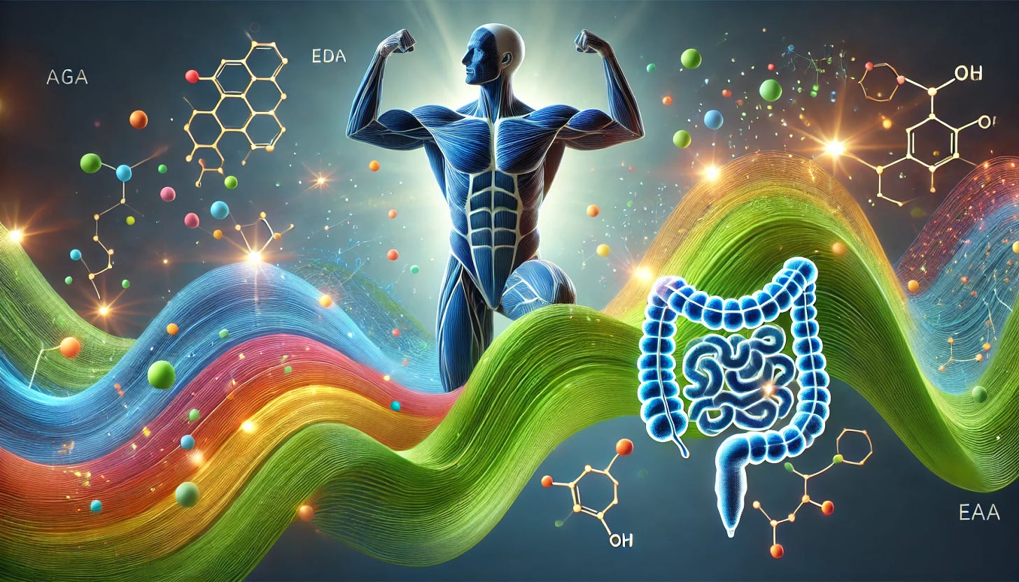 A conceptual illustration representing the benefits of Essential Amino Acid (EAA) supplements for aging and health. Show a vibrant balance between muscle health, represented by strong, abstract muscular shapes, and digestive efficiency, symbolized by a simplified, glowing digestive tract. Include a spectrum of colors like greens and blues for vitality, and a touch of orange to represent energy. Subtle molecular patterns symbolize amino acids. The image conveys support for health and wellness with clean and modern design elements. Render in a landscape aspect ratio.