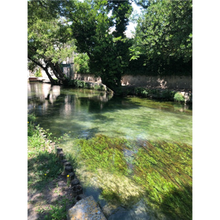 A picture containing outdoor, vegetation, grass, nature

Description automatically generated