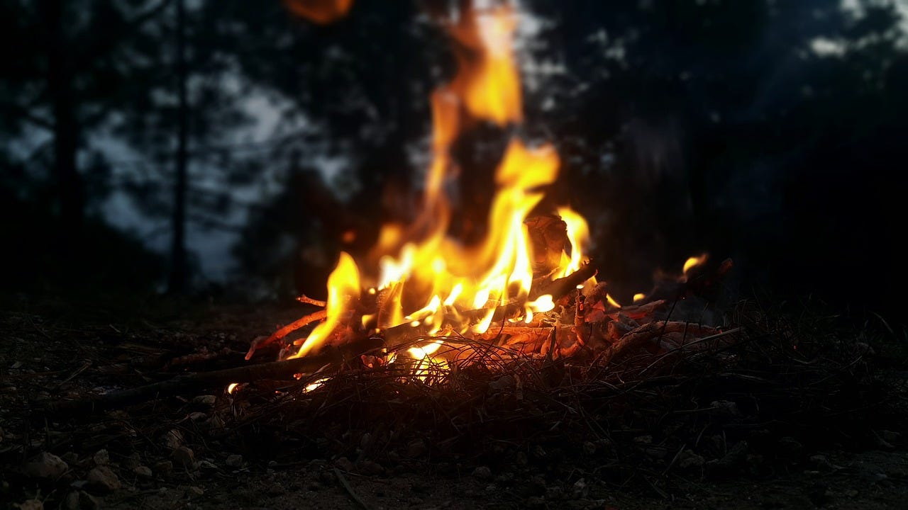 a bonfire in the woods
