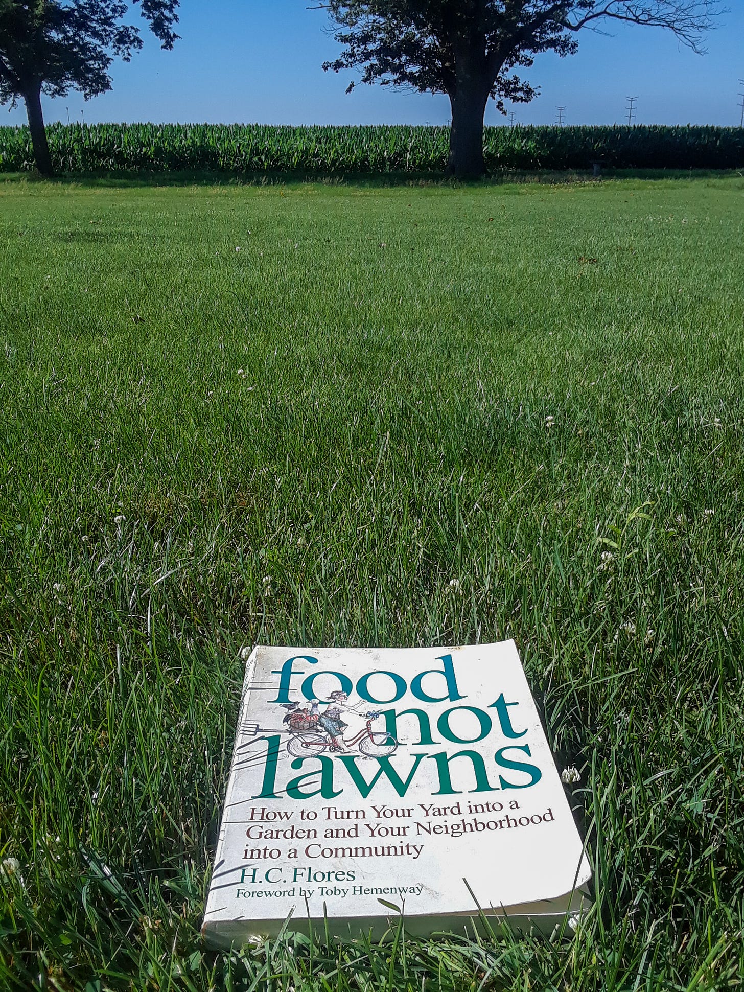 The book Food Not Lawns sitting on a green lawn