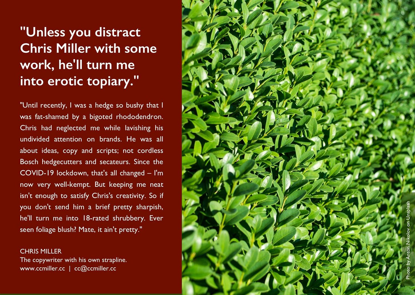 Chris Miller promo with headline 'Unless you distract Chris Miller with some work, he'll turn me into erotic topiary.'