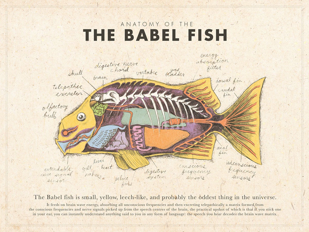 Hitchhiker's Guide babel fish fish fish anatomy anatomy sketch biology science fiction fiction Space  galaxy BBC