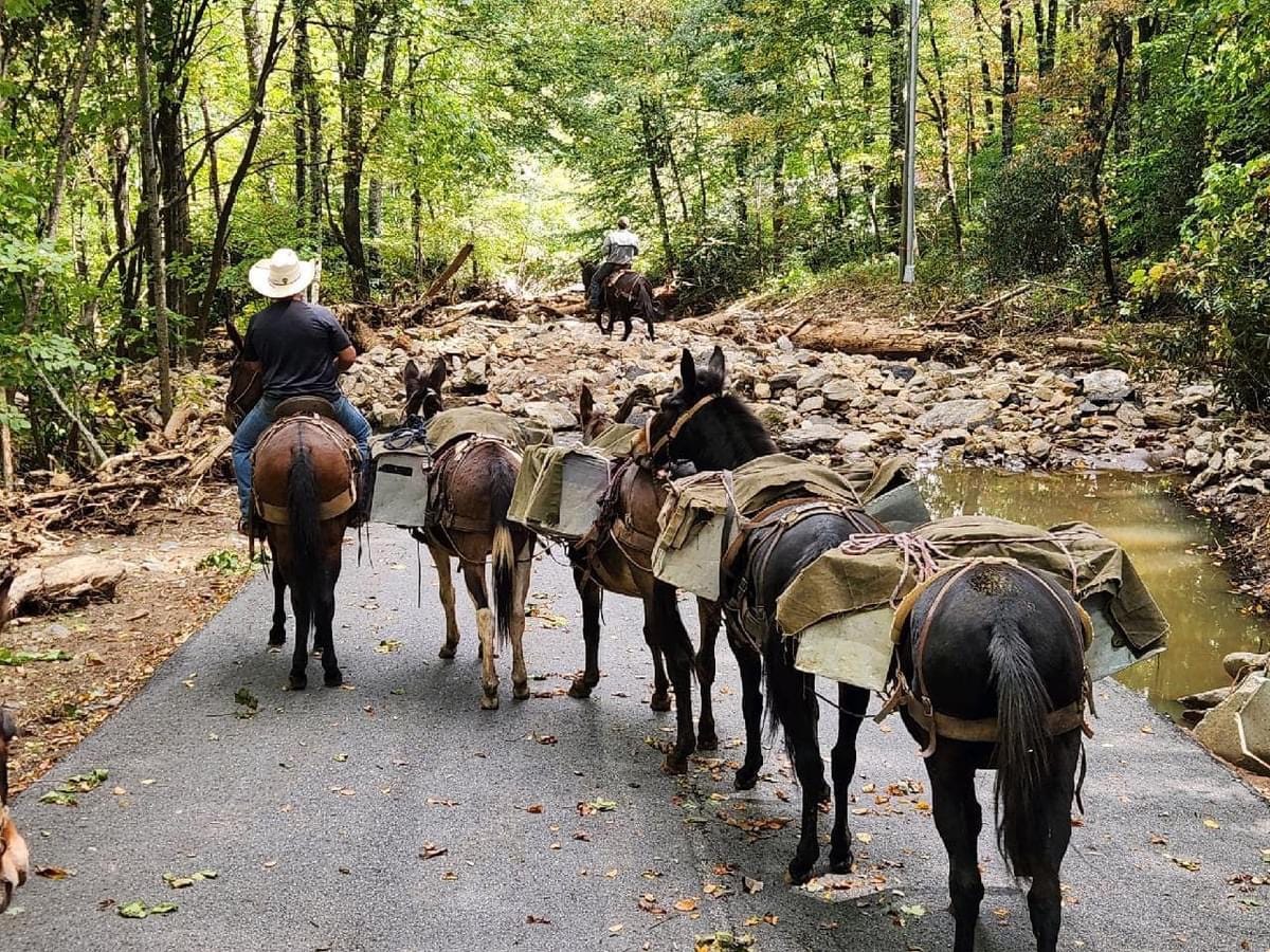 How the Rodeo Family is Helping with Hurricane Helene Recovery