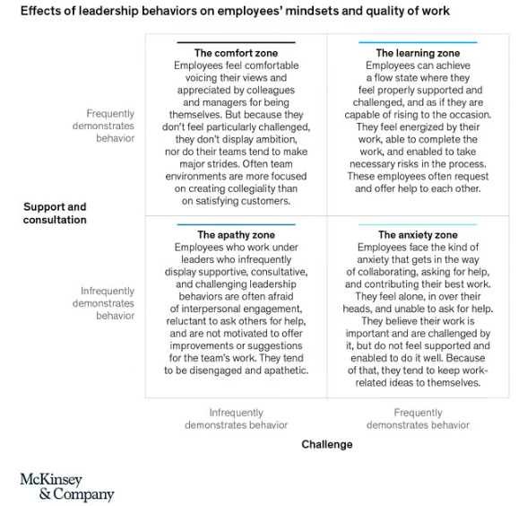 Effects of leadership behaviors on employee's mindsets