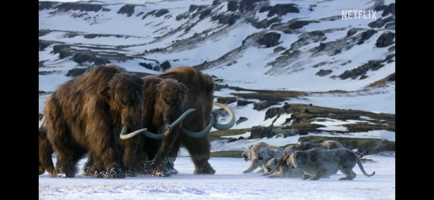 Knight_Steve on X: "Series of screenshots from a private trailer of the  Netflix documentary Life on our Planet. New animals including Dromaeosaur  of some kind, new scenes of Doedicurus and Smilodon, Mammoth