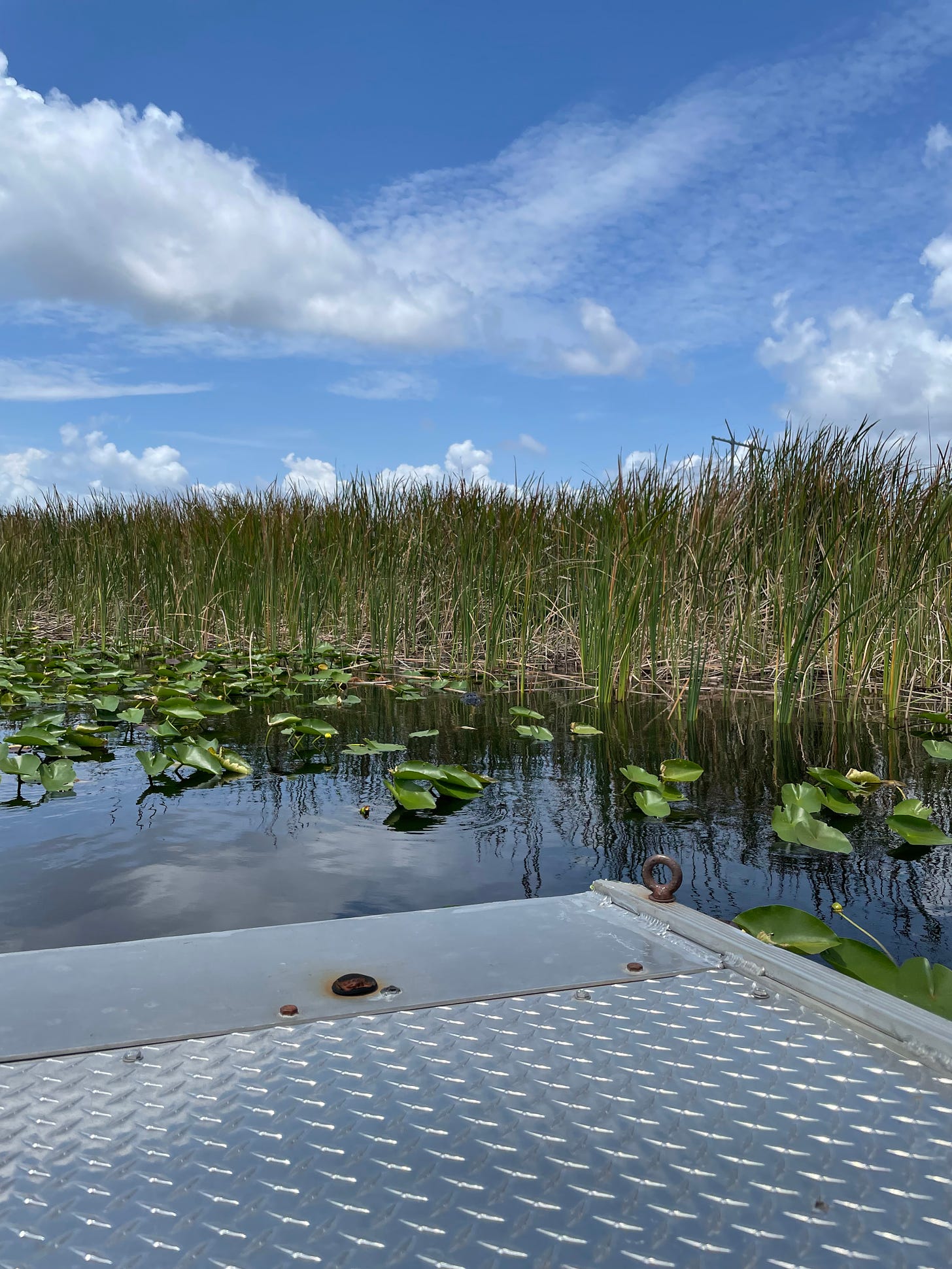 The edge of a metal boat on the Florida Everglades. Clouds can be seen in the blue sky. Rising above the water are marsh grasses.